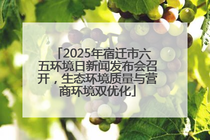 2025年宿迁市六五环境日新闻发布会召开，生态环境质量与营商环境双优化