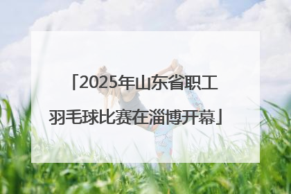 2025年山东省职工羽毛球比赛在淄博开幕