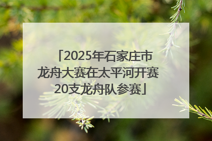 2025年石家庄市龙舟大赛在太平河开赛 20支龙舟队参赛