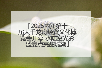 2025内江第十三届大千龙舟经贸文化博览会开幕 水陆空光影盛宴点亮甜城湖