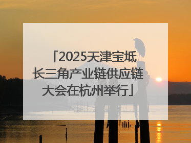 2025天津宝坻长三角产业链供应链大会在杭州举行