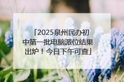 2025泉州民办初中第一批电脑派位结果出炉！今日下午可查
