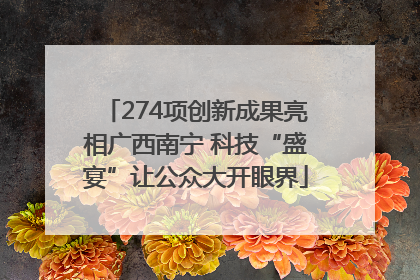 274项创新成果亮相广西南宁 科技“盛宴”让公众大开眼界