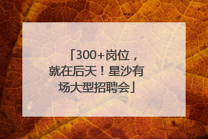 300+岗位，就在后天！星沙有场大型招聘会