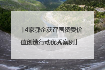 4家鄂企获评国资委价值创造行动优秀案例