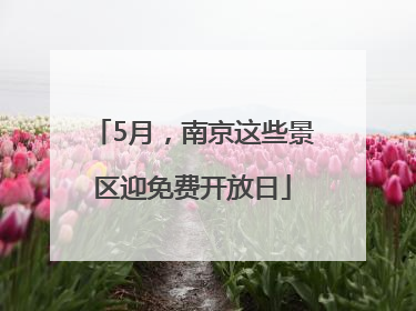 5月，南京这些景区迎免费开放日