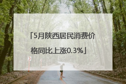 5月陕西居民消费价格同比上涨0.3%