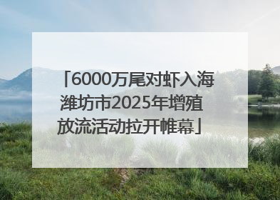 6000万尾对虾入海 潍坊市2025年增殖放流活动拉开帷幕
