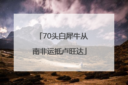 70头白犀牛从南非运抵卢旺达