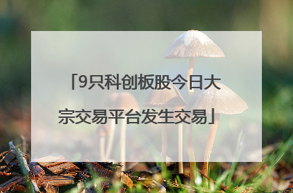 9只科创板股今日大宗交易平台发生交易