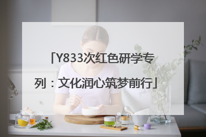Y833次红色研学专列：文化润心筑梦前行